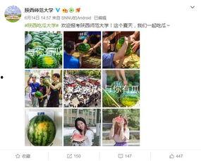 大学网吧吃瓜,揭秘校园里的“吃瓜”乐园