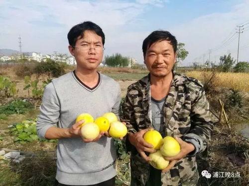吃瓜群众兰坪,吃瓜群众的视角，揭秘娱乐圈风云变幻