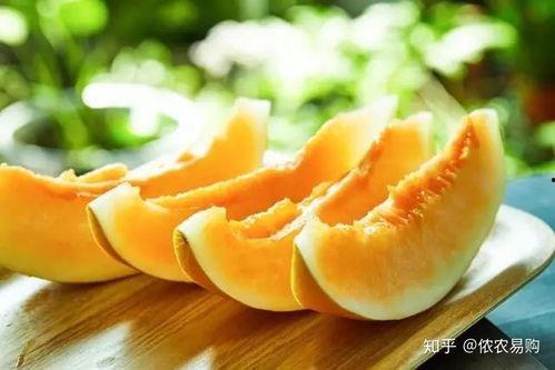 蜜瓜板怎么吃,蜜瓜板的多重美味吃法探索