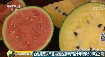 世界吃瓜网,全球美食盛宴，尽享舌尖上的世界