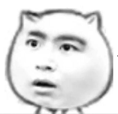 宠尤怎么吃瓜,一场关于宠物的趣味盛宴