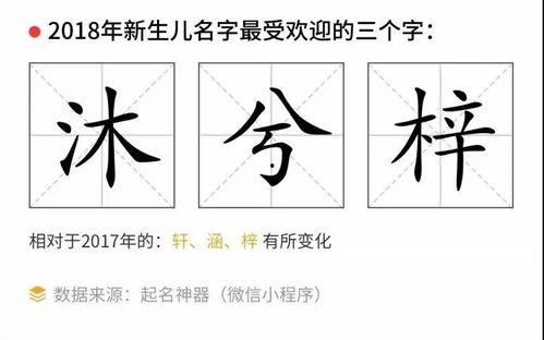 吃瓜宋体,揭秘网络热词背后的文化现象