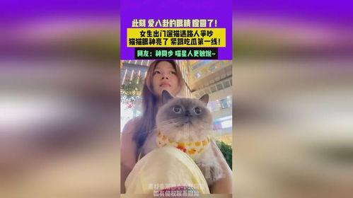 路人吵架猫咪吃瓜,成“吃瓜群众”萌态再现