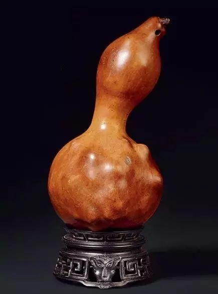 异形吃葫芦瓜吗,一场不可思议的宇宙邂逅