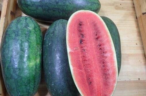 长垣市吃瓜视频,揭秘当地特色美食文化