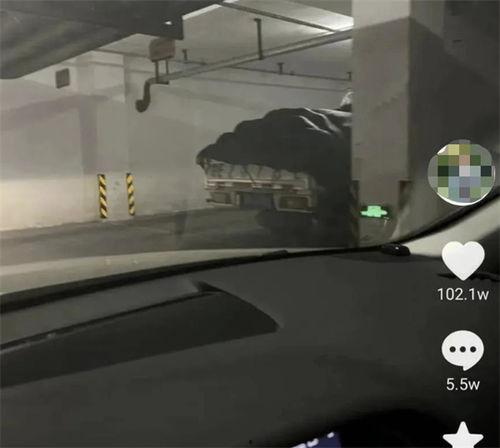 朱女士吃瓜,一场甜蜜的“吃瓜”之旅