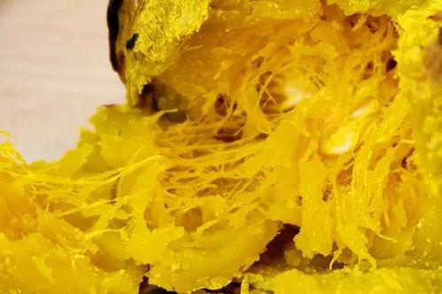 小粉吃老白瓜,一场味蕾的奇妙邂逅